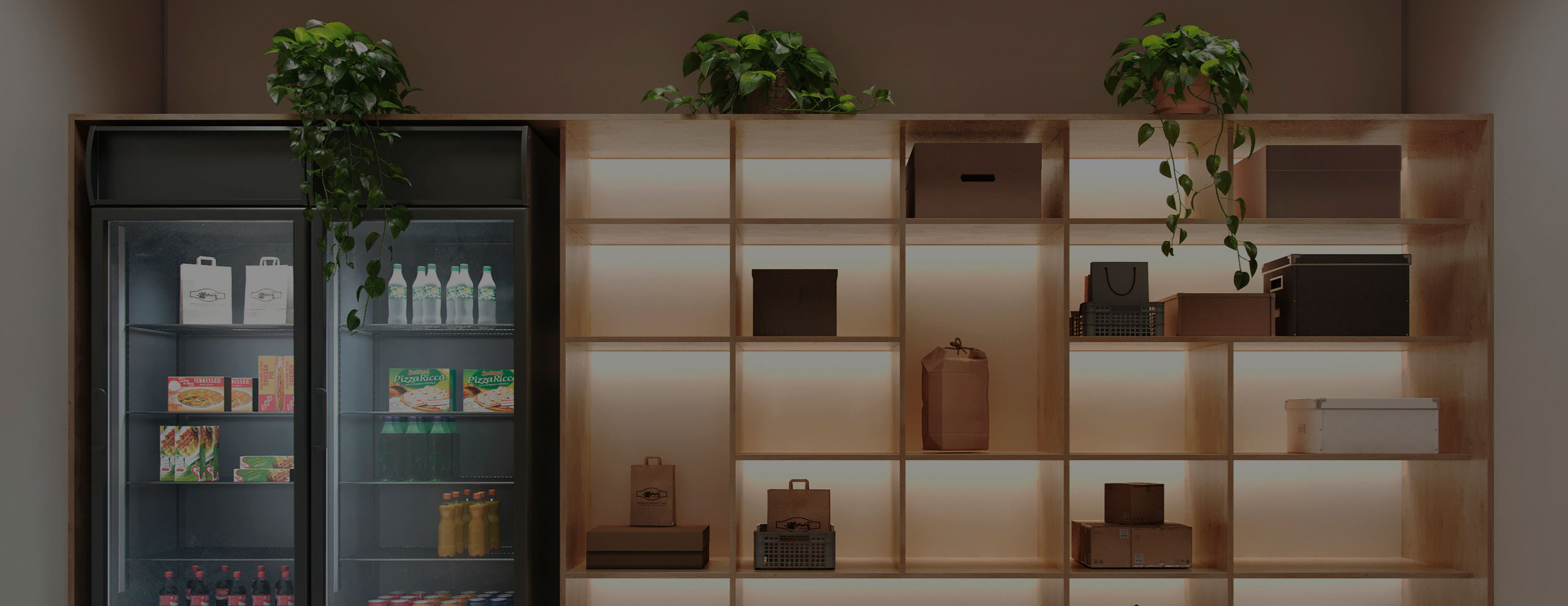 SERVIÇOS PAY-PER-USE